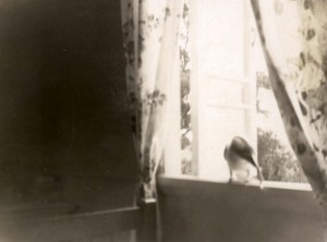 Pauleen bedroom 1961