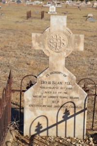 Denis Scannell frm Co Kerry low