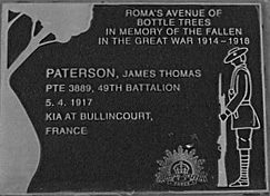 bottle tree plaqueBWcrop