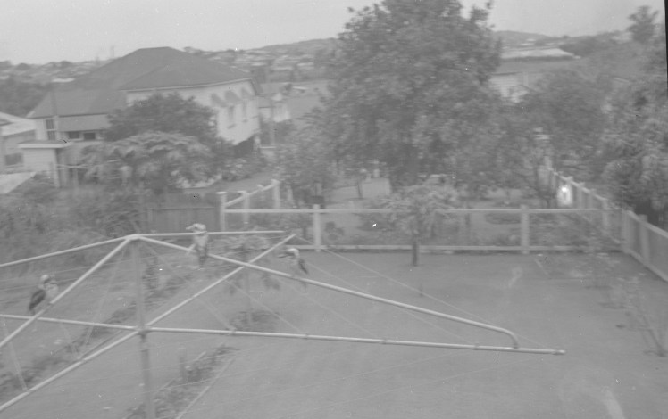 The Qld nut tree in the back yard, and kookaburras on the clothes line -they would arrive for a piece of meat.