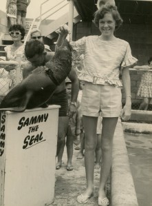 At the Porpoise Pool