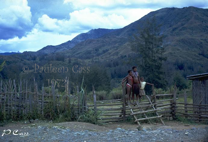 Highlands children on a pit-pit fence near Lufa, Eastern Highlands, PNG © P Cass 1972