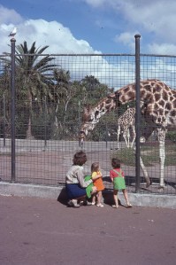 Pauleen Louisa Rach Auckland Zoo 1975