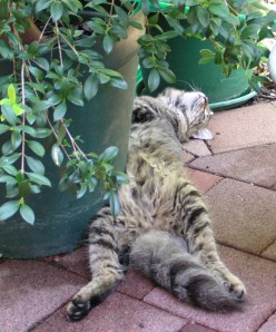 Sometimes you just have to chill out!