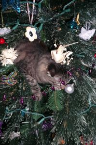 Now which one should come off next?