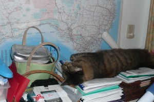 I wonder where they'll go on holidays next?