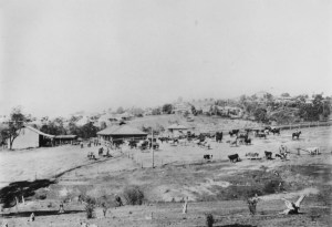 This dairy, Ozanne's, was in nearby Ashgrove but shows what must have been a similar mix of rural and urban. c1920 http://trove.nla.gov.au/work/36908896