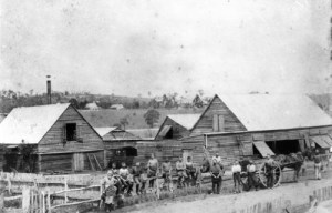One of the Kelvin Grove tanneries circa 1890, SLQ http://trove.nla.gov.au/work/185011646