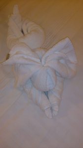 Tonight's towel arrangement appears to be a puppy.