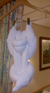 The steward's towel monkey...our final towel creation.