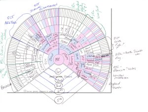 Follow the pretty pink lines for X-DNA.