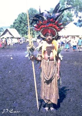 Goroka show