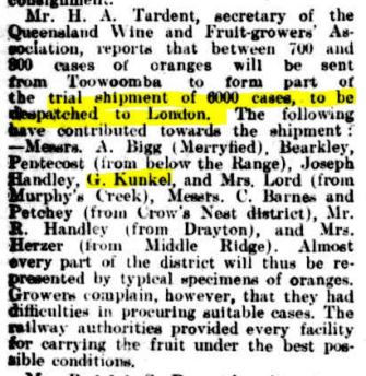 Kunkel Oranges Qlder 16 July 1904 p40