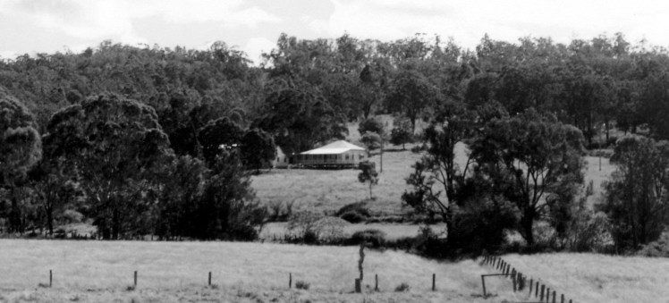 m ck from a distance