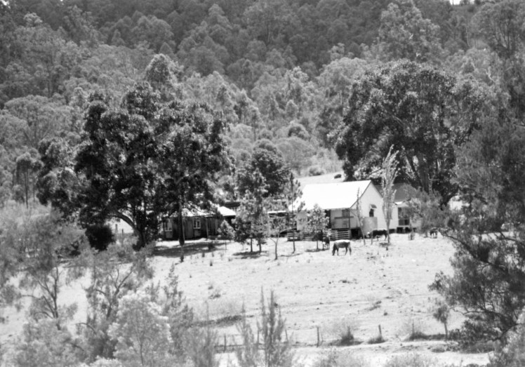 m ck property in late 80s