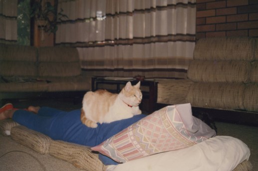 Pauleen and ginger megs